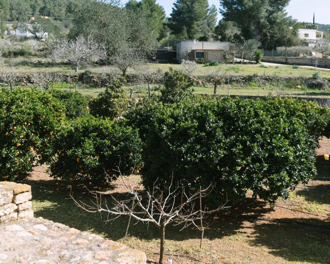 Linda, Ruime Prive-villa Met Zwembad Met Prachtige Tuin